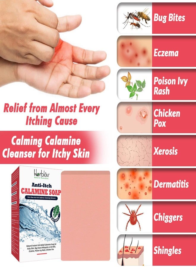 هيربلوڤ صابون طبيعي فوري لتخفيف الحكة - صابون كالامين مهدئ للبشرة المتهيجة، لدغات الحشرات (البعوض أو النمل)، الأكزيما، طفح اللبلاب السام، جدري الماء - منظف طبيعي نقي مضاد للحكة للعناية بالبشرة - Image 2